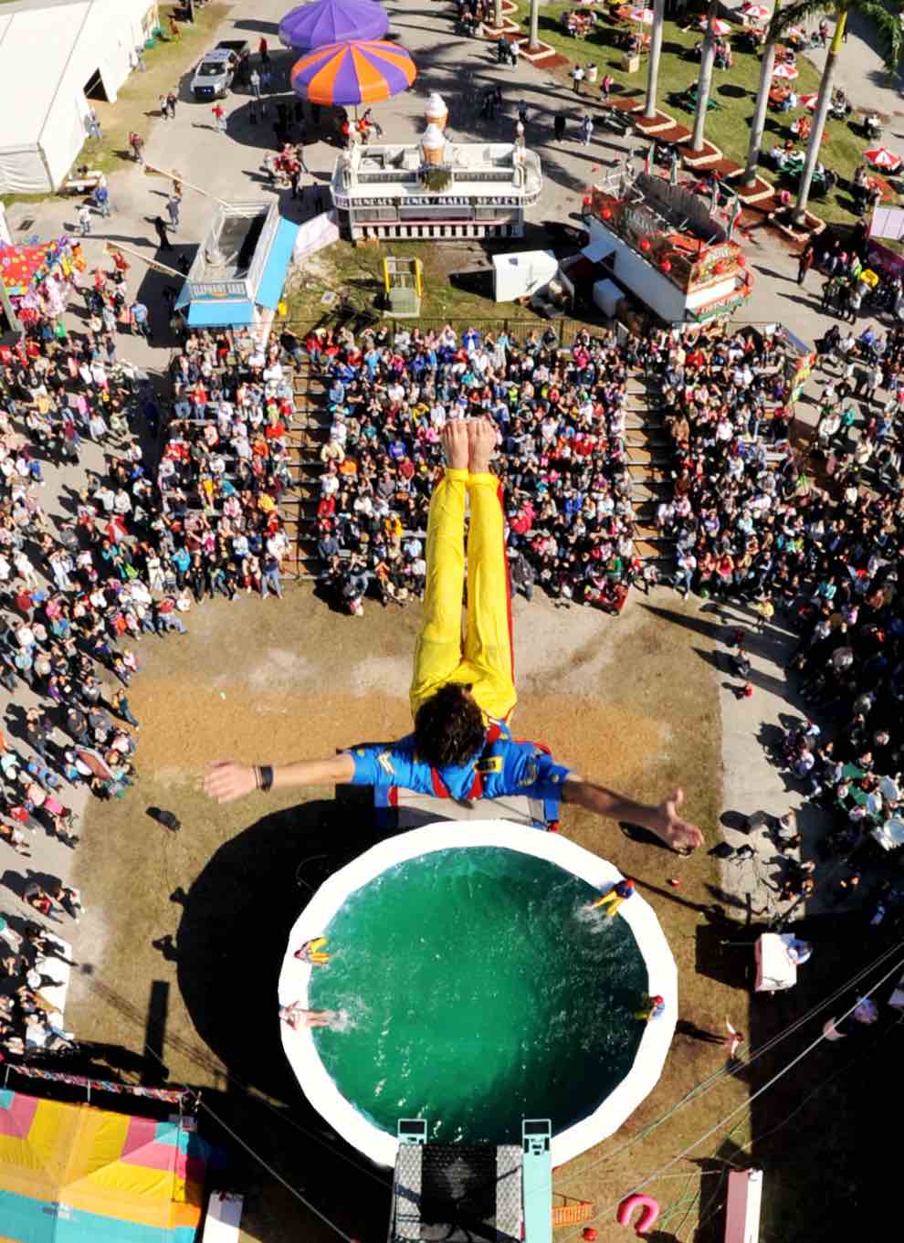 Brand new Hydro High Dive Show returns to Crealy this summer The